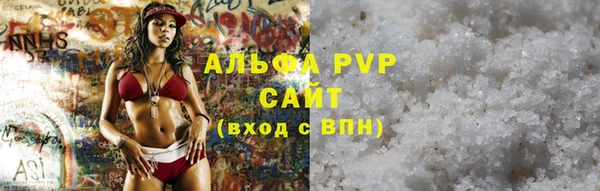 стафф Россошь