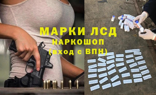 стафф Россошь