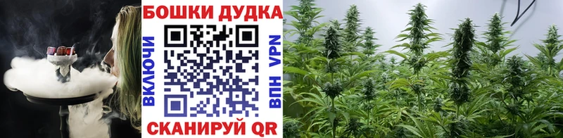 цены наркотик  Вышний Волочёк  Бошки Шишки SATIVA & INDICA 